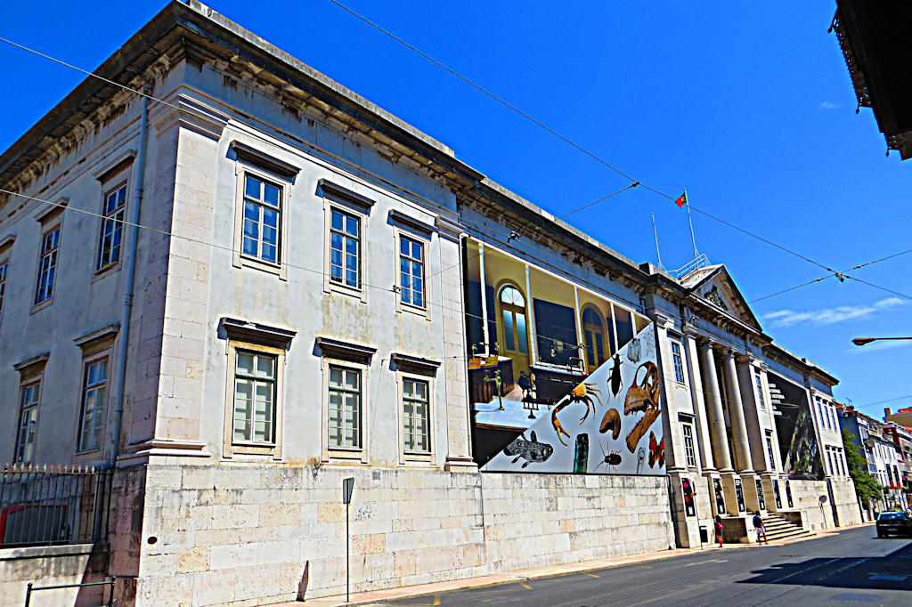 Experience the diverse wonders of Lisbon's National Museum of Natural History and Science, where science, art, and culture intertwine to inspire and engage curious minds.
