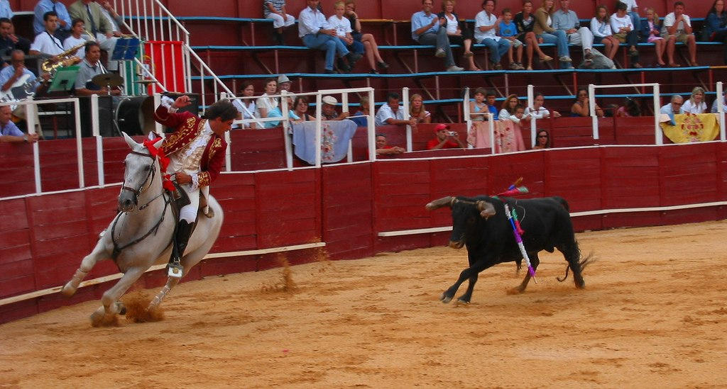  Immerse yourself in the vibrant bullfighting tradition of Portugal, where Lisbon serves as a cultural hub for this age-old spectacle.
