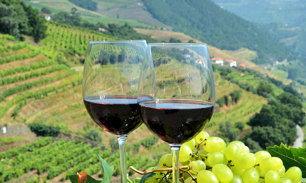 Douro Valley Wines: A Cultural Voyage through Portugal's Vinicultural Tapestry.