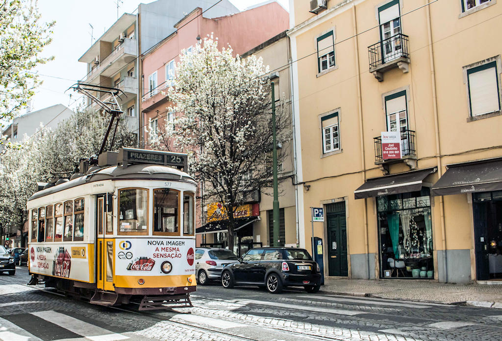 Experience the vibrant atmosphere, culinary delights, and rich history of Campo de Ourique, a charming neighborhood in Lisbon.