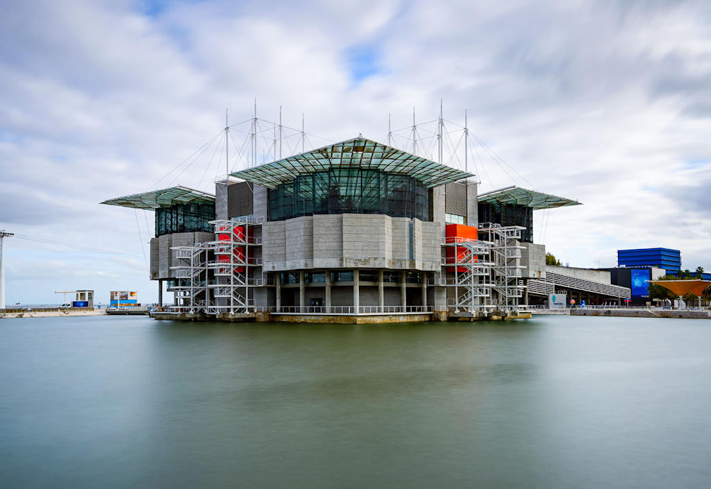 Experience the Lisbon Oceanarium in Parque das Nações and get mesmerized by the marine wonders, educational initiatives, and conservation efforts on display.