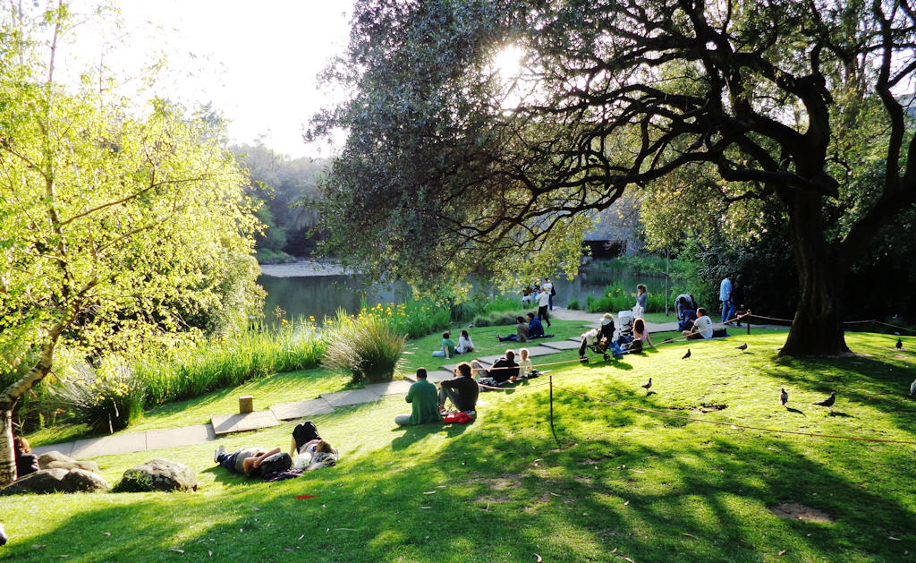 Experience the serenity of Gulbenkian Park, a captivating oasis in Lisbon where nature, culture, and wildlife converge to create a harmonious escape.