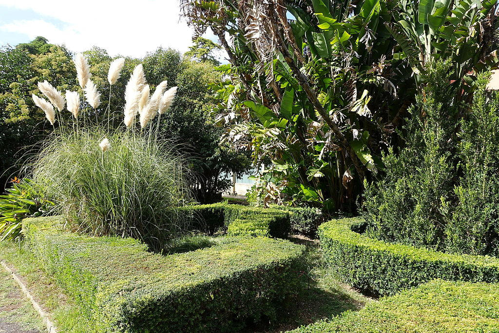 Step into the captivating Lisbon Tropical Botanical Garden, a green sanctuary showcasing the beauty and diversity of tropical flora.