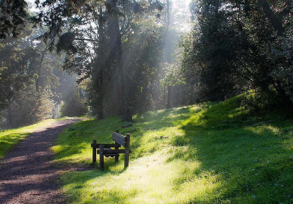 Escape the city and immerse yourself in the serene beauty of Monsanto Forest Park—a green oasis offering trails, culture, and sustainable practices in Lisbon.