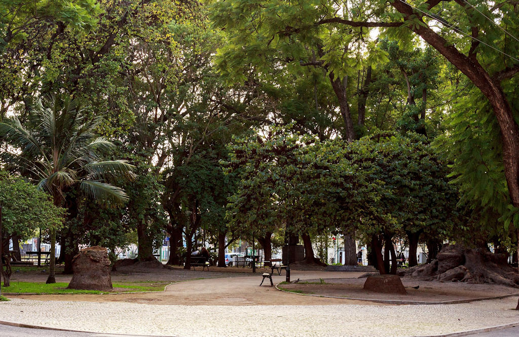 Escape to the tranquil oasis of Nuno Álvares Garden in Lisbon, a hidden gem offering serene beauty amidst the city's historic center.