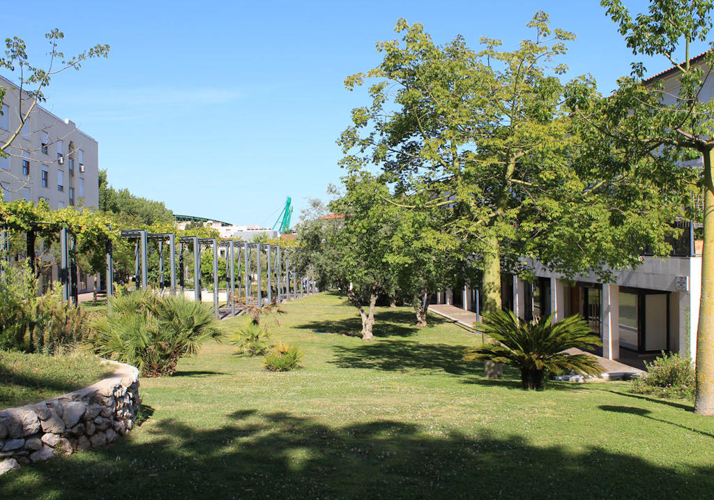 Indulge in the serenity and natural beauty of Lisbon's Parque Central as you discover the harmonious blend of design and nature in the António de Sousa Franco Garden.