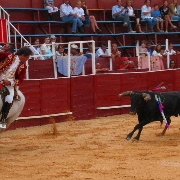 Bullfighting Tradition in Portugal