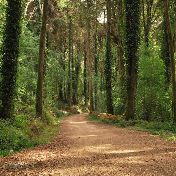 Sintra-Cascais Natural Park (Parque Natural de Sintra-Cascais)