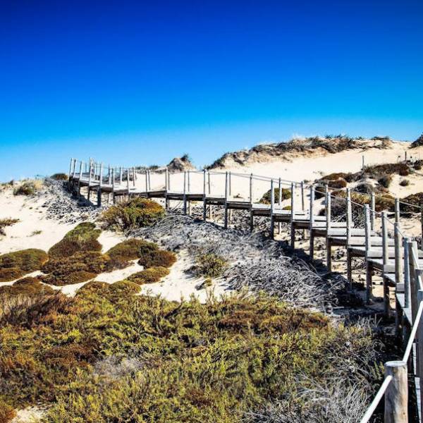 Cresmina Dune (Duna da Cresmina), Cascais