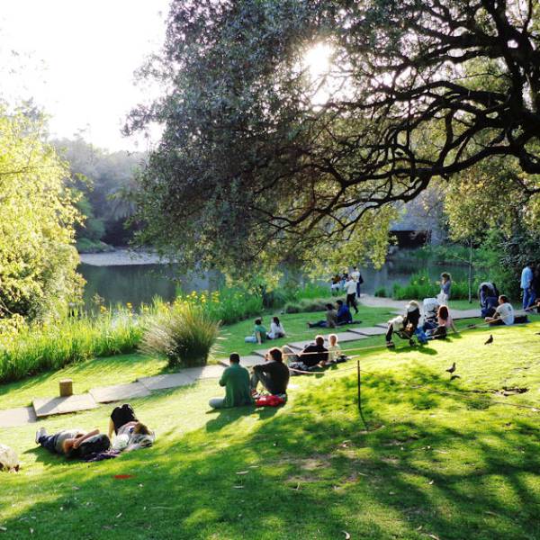 Gulbenkian Park (Jardim da Fundação Calouste Gulbenkian)