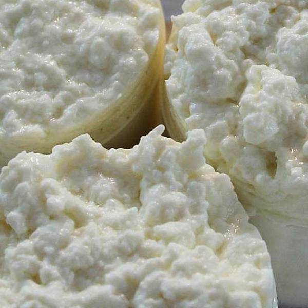 Queijo Fresco de Azeitão: Azeitão's Finest Fresh Cheese