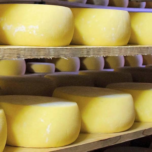 Queijo São Jorge: A Cheese Rooted in Tradition and Terroir